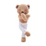 Totally Poseable Meddy Teddy Yoga Bear